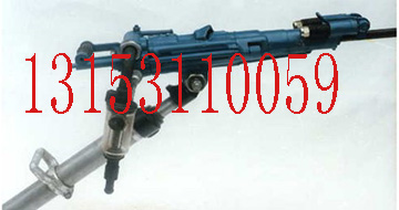 ЧYT29菎rCYT29菎rC