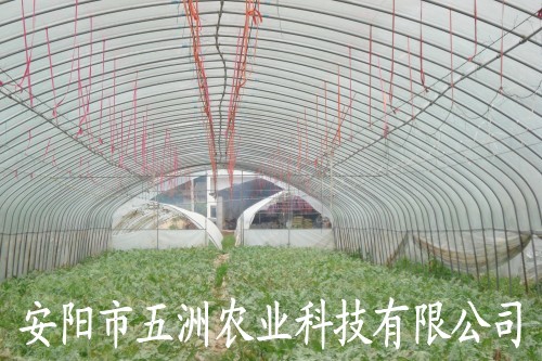 䓹ʹ ӱ䓹ܴｨO ܴǼ rI