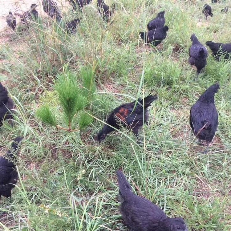 uu猣܇СuHu_RTݸԪ؛