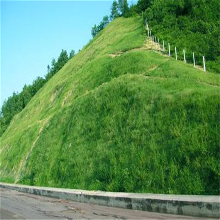 ߅¾GܹWֲݾWC\FzWν𼽌w̼