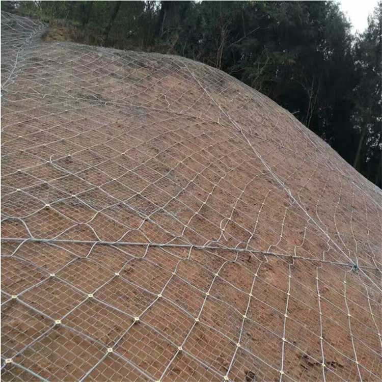 νsns߅·oW(wng)rʯ·oo¾W(wng)߅䓽zKW(wng)