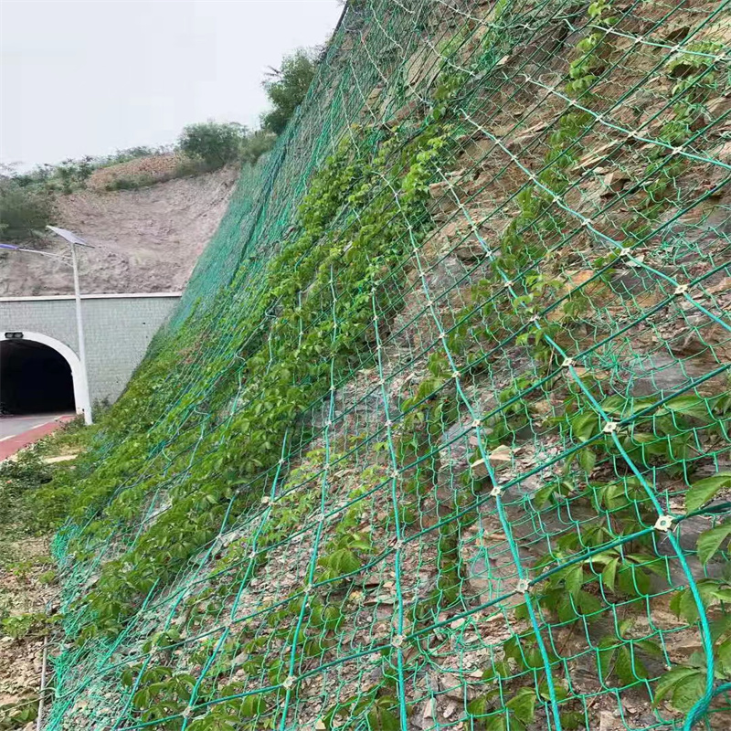 SNS԰߅·oWɽwʯWν𼽶