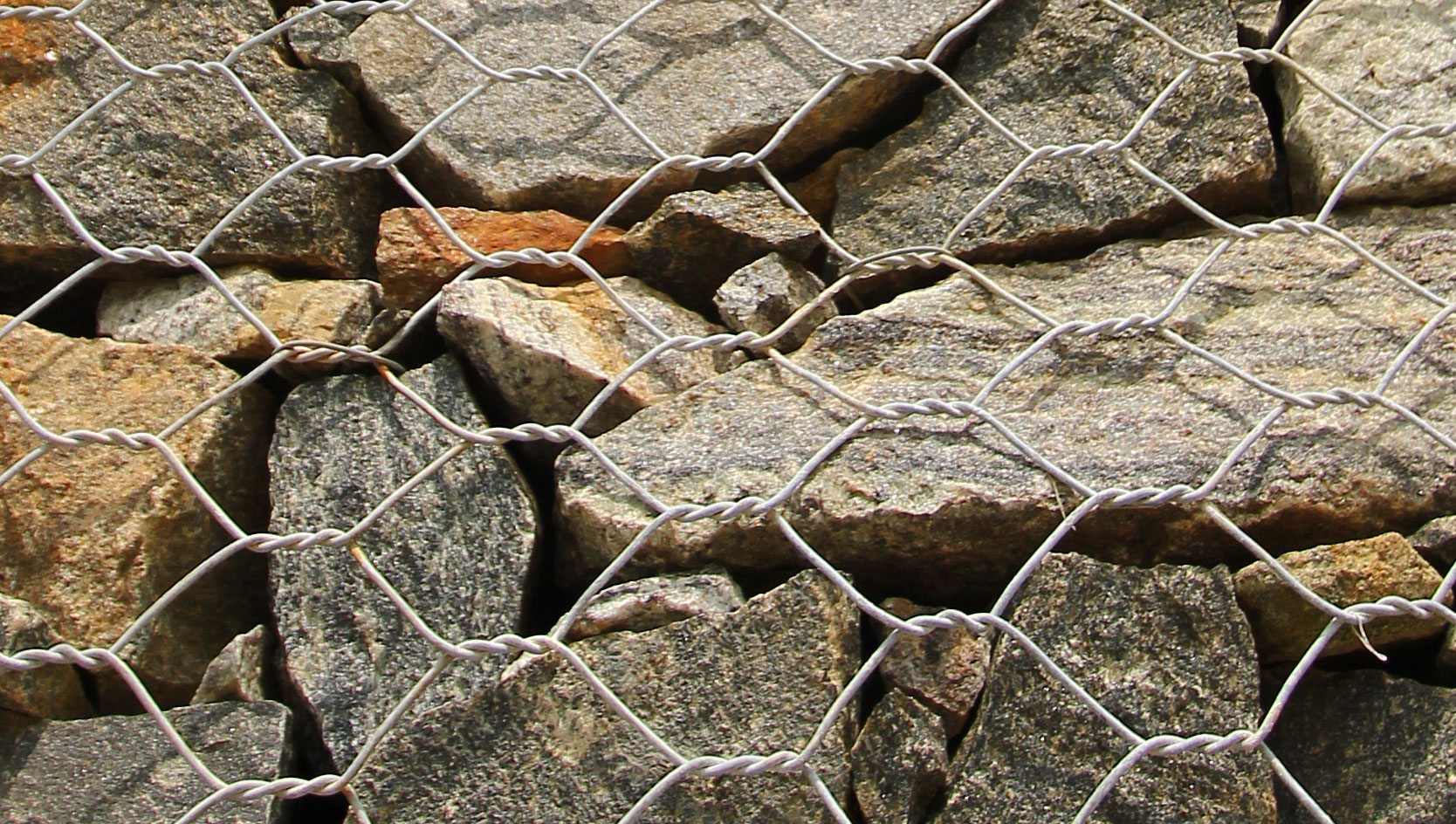 ν𼽸ۿذӵo̹eC\FzW(wng)ʯ\W(wng)ǾW(wng)