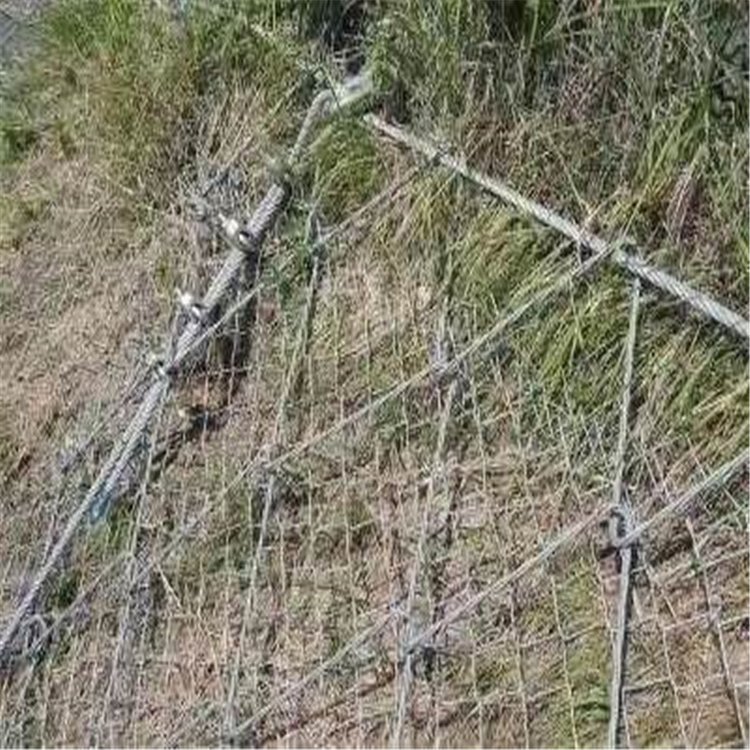 νsnsο׷ʯW\䓽zKɽwoӷoW