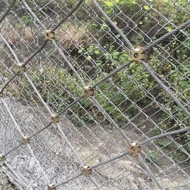 䓽zKαӷoW(wng)a(chn)Sԭh(hun)ξW(wng)ʩbӾW(wng)F(xin)؛