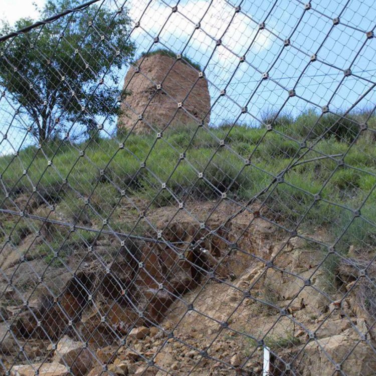 ν𼽱߅·oW(wng)DO\/08\/200䓽zKW(wng)ٹ·o¾W(wng)