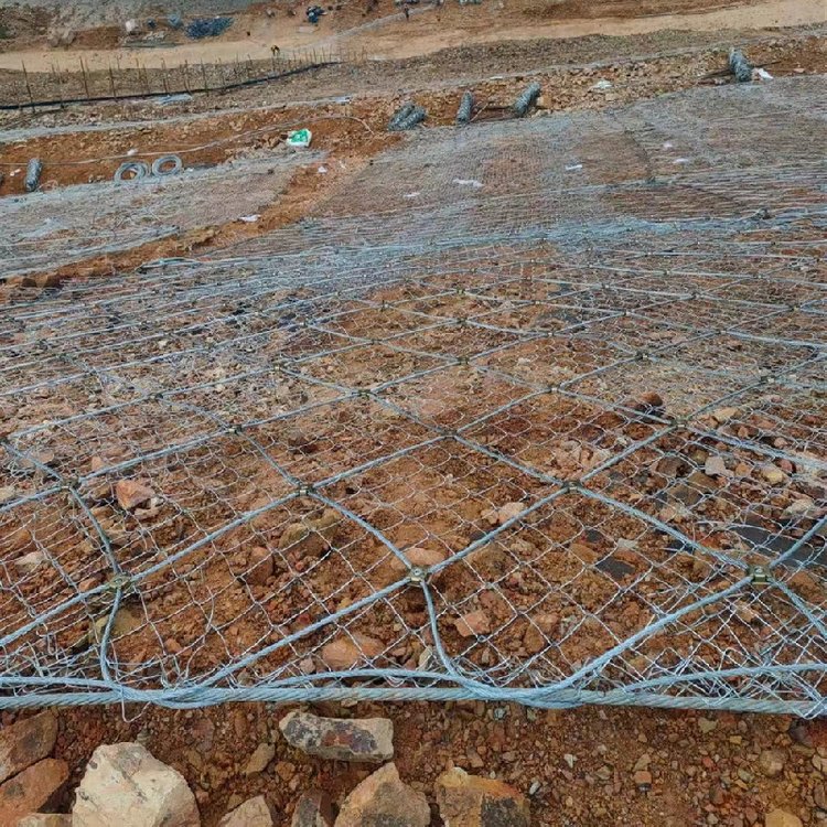 B(ti)ޏ(f)TBSW(wng)Gֲ\FzW(wng)ν𼽌I(y)b