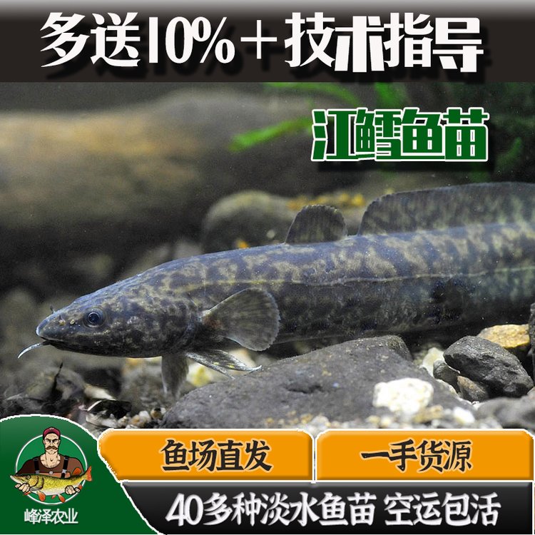 ɽLB(yng)ֳ3-5׻wɽT~繩B(yng)ֳʳýLOl(f)؛