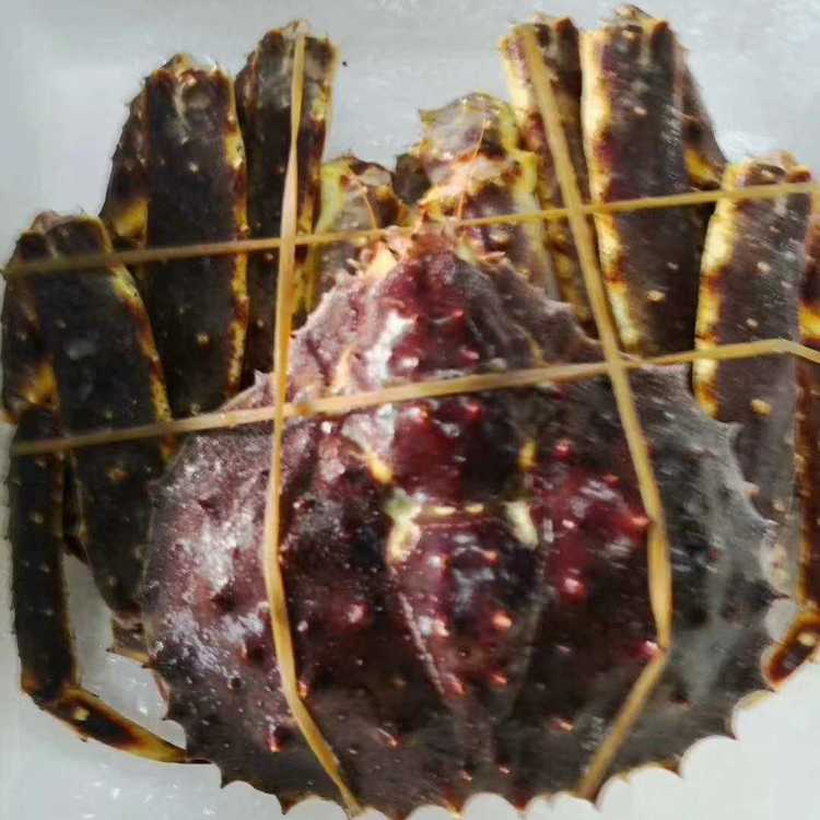 wзlЈr˹з˾зSl