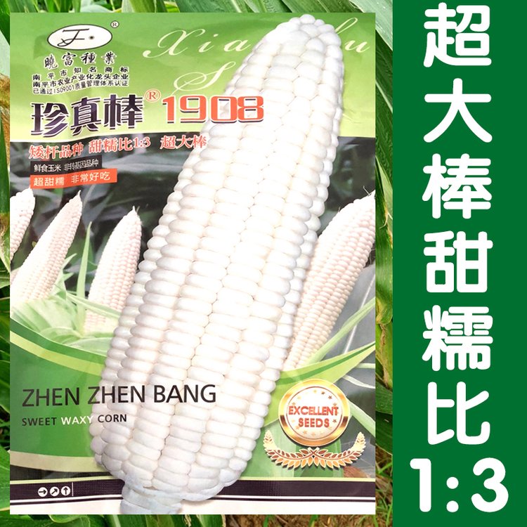 ߮aŴ׷Nl(f)ŴrŴ׷N