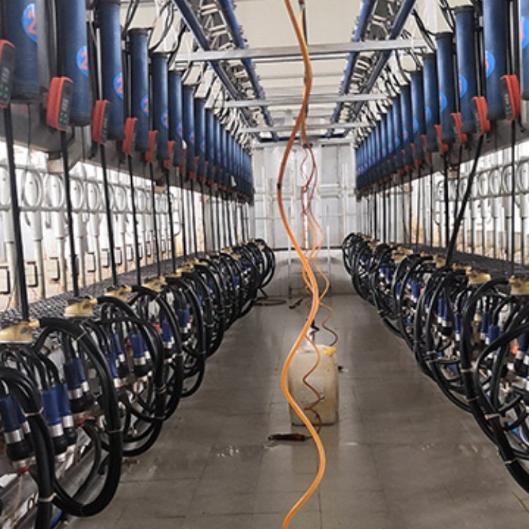 O书ܔD̏dOO侫ţD̏dOO