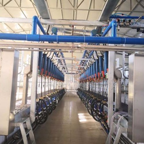 |ʽD̏d|ʽD̏daɳW