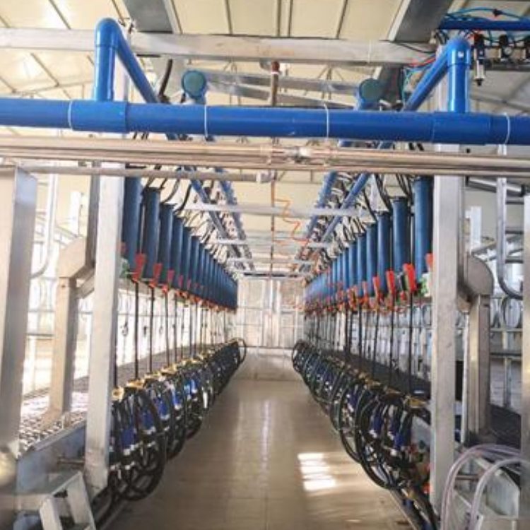 DPʽD̏drɽD̏dɽD̏d