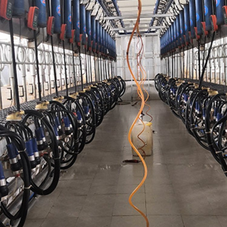 ֱND̏dֱNO䲢ʽD̏dֱNO