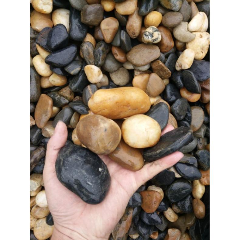 ˮ̎V؉|Ӷѷeܶ1.85ˮ0.1ֵ[,(x)