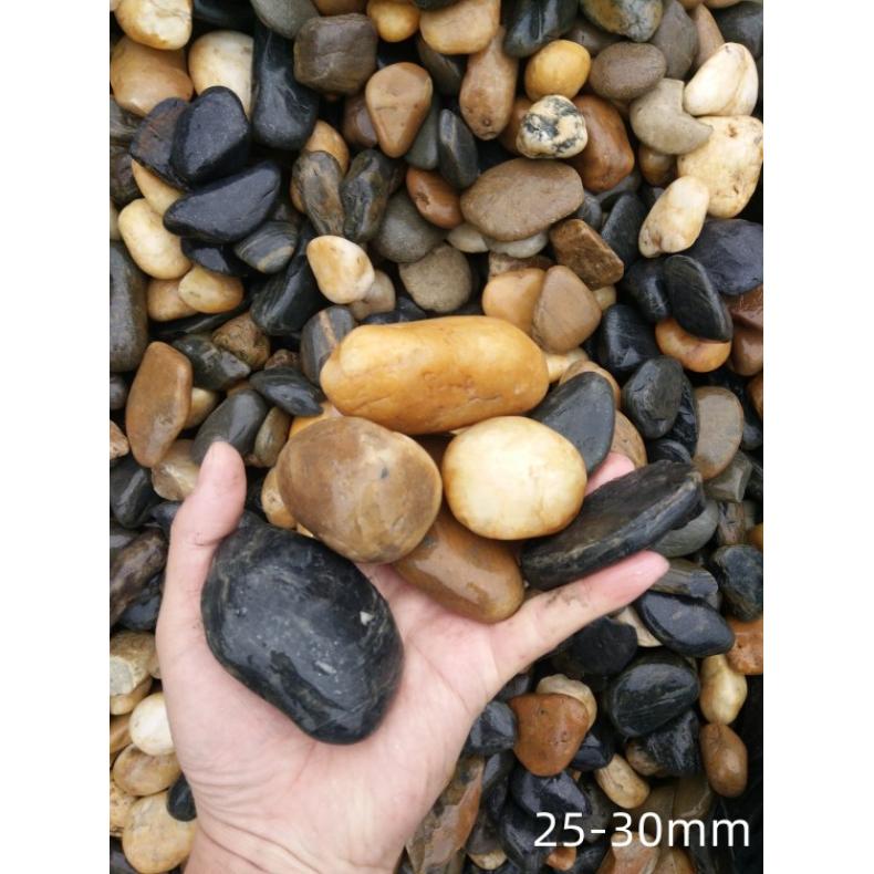 ɫɫtɫɫȻsɫZʯ[ʯV