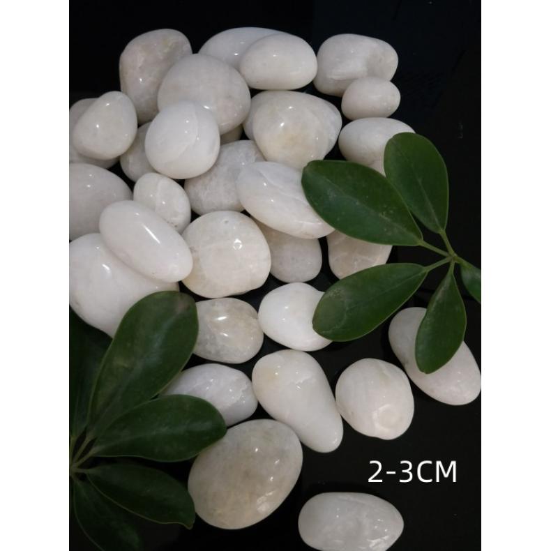 Zʯ·ʯ@쾰~(y)bʯ^ͥԺ