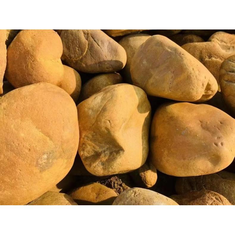 Ӳ̖10cm~200cmSϞʯ쾰@־^Ȼ^