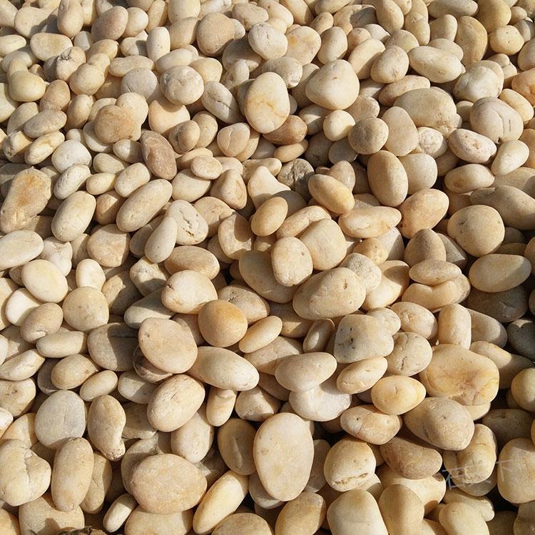 ʯ¼ðɫZʯbɫʯ·쾰