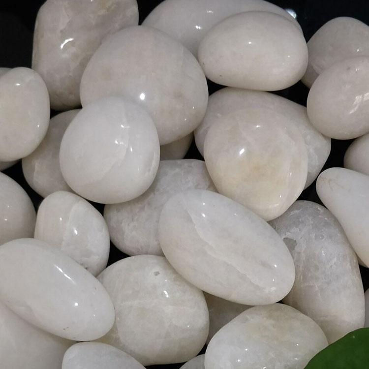 ʯºS껨ʯ쾰ÒZʯ·҃bʯ