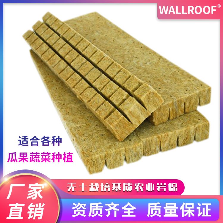 WALLROOFrIrޟor픻@оG