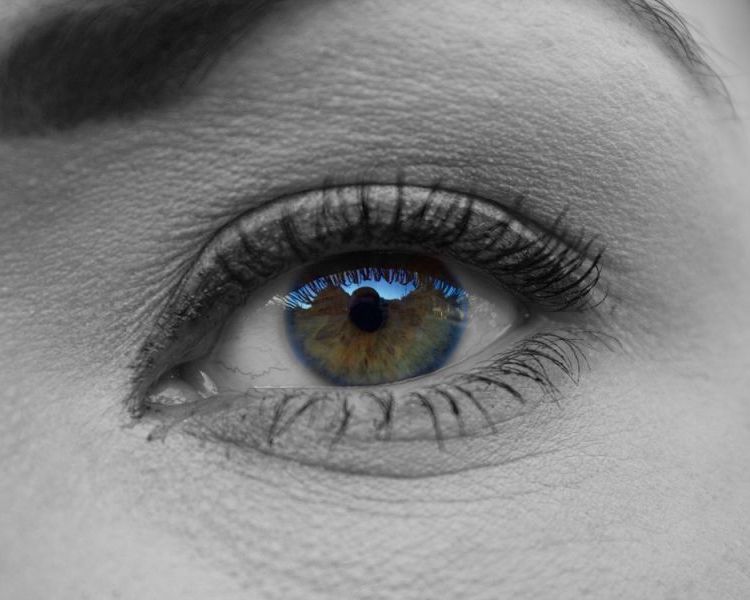 ϺMڻyƷPעڻyƷPgӭԃM