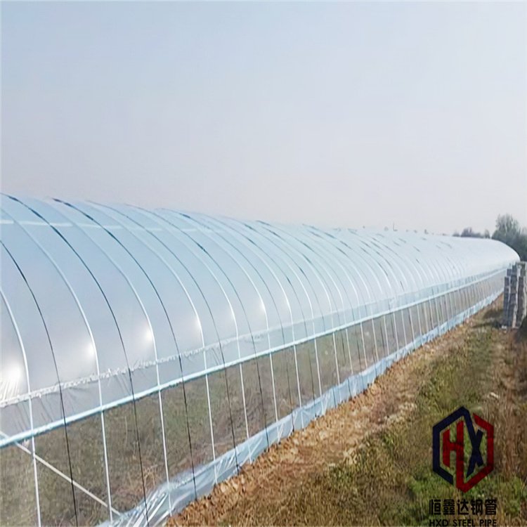 NֲľһطNֲ﹤̺_rI