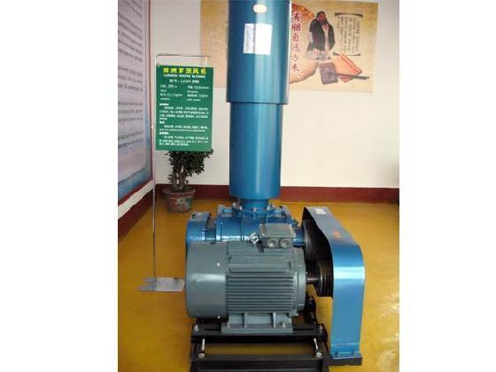 F(xin)؛(yng)_L(fng)CCеӹh(hun)O(sh)