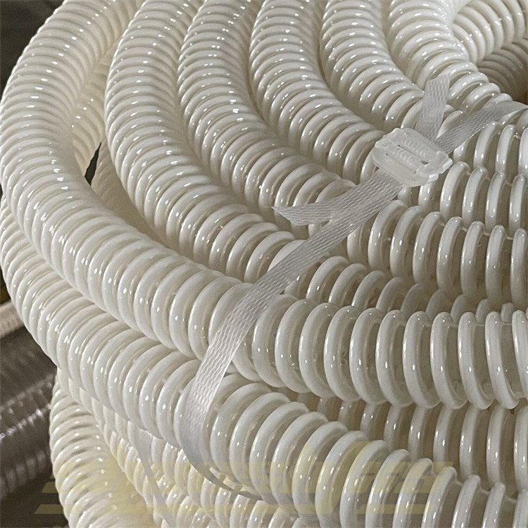 ɽܭh͟ͺopuܽܛҎ38