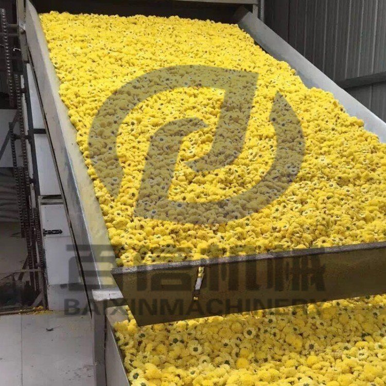 zSվWəCͶBmʽOLѭhʽWzSոCˮ