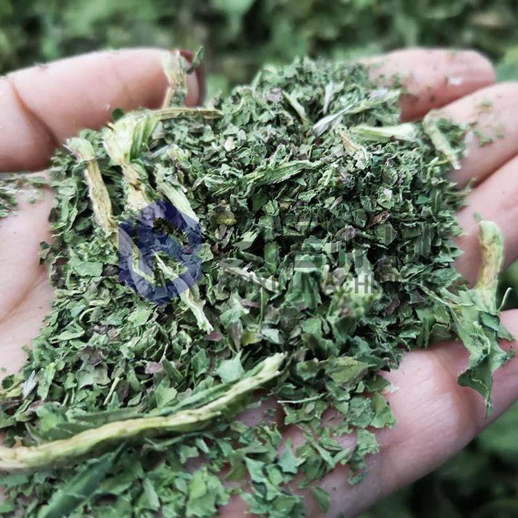 ʳ~ݺəC;WəCBmʽʳ~ݸɸOS҃r