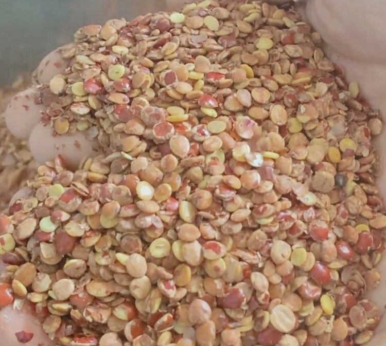 ˎᗗÓƤCIᗗÓƤCʡrʡЧ