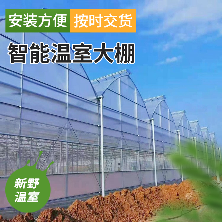 Ҵｨ컨߲˜(yng)ҽO(sh)