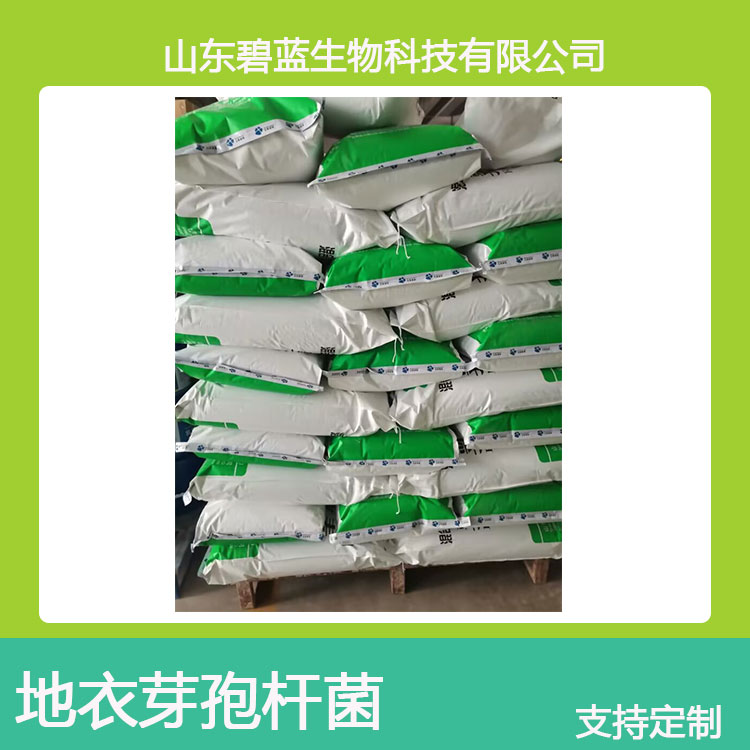 ѿߗU1000|cfu\/gӱBֳ΢NF؛