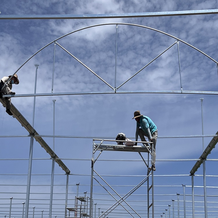 rBţBţBֳܴǼ܌OӋD