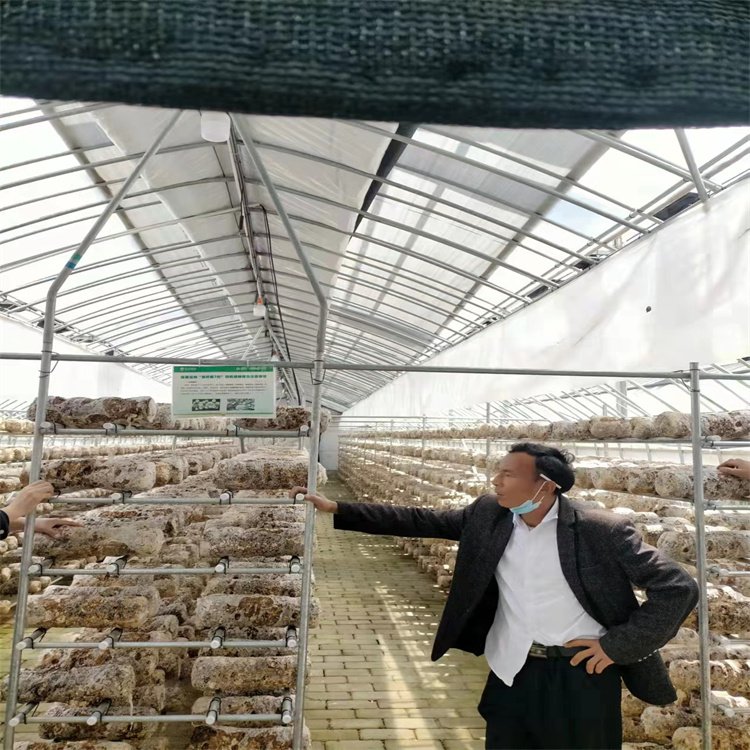 ĢƽǾuȾꖷNֲMOӋҎrͱغ