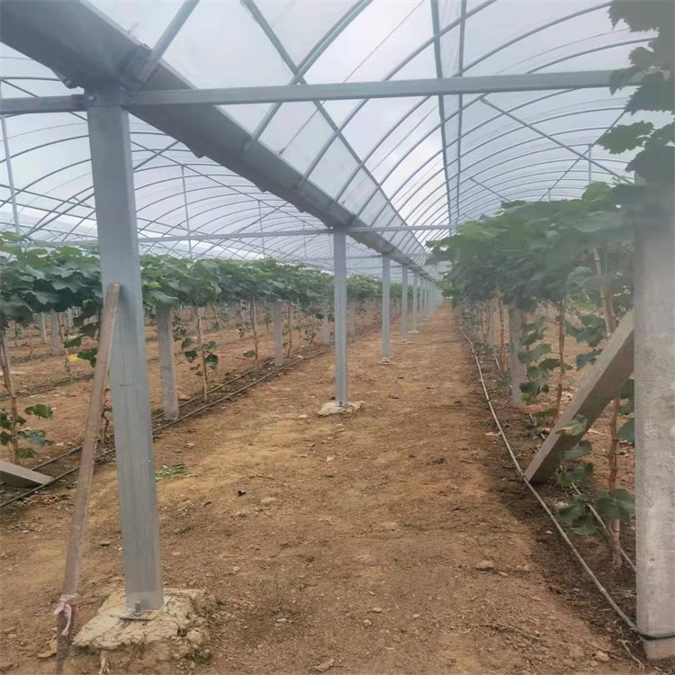 ꖹõﺆױOӋѴ͸ʸʹL