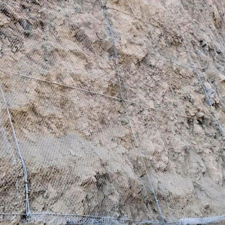 䓽zKo(h)W(wng)8mm䓽zKW(wng)Ʊİl(f)ӹ