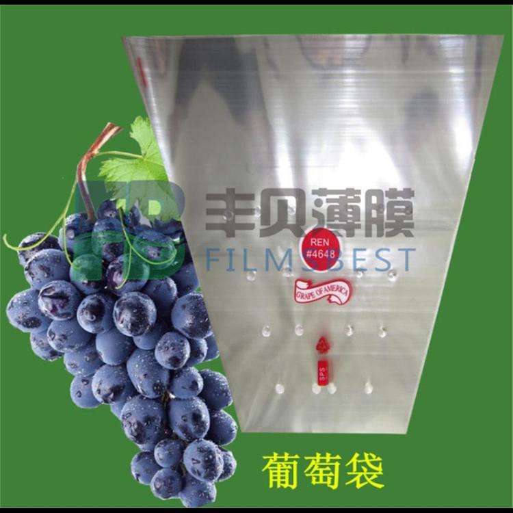 BOPPFĤaSؐĤbĤ͸Ĥ