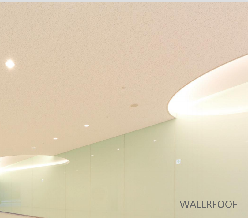 WALLROOFVVް픲ďȸܺ