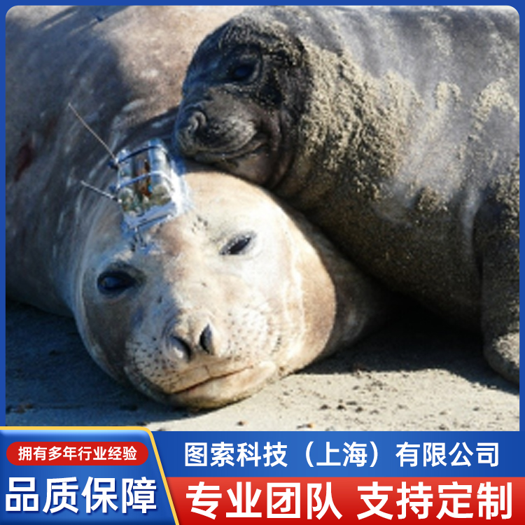 SPLASH10-F-296(sh)(j)nl(wi)ǂݔ˺ɌF(xin)(sh)قλ