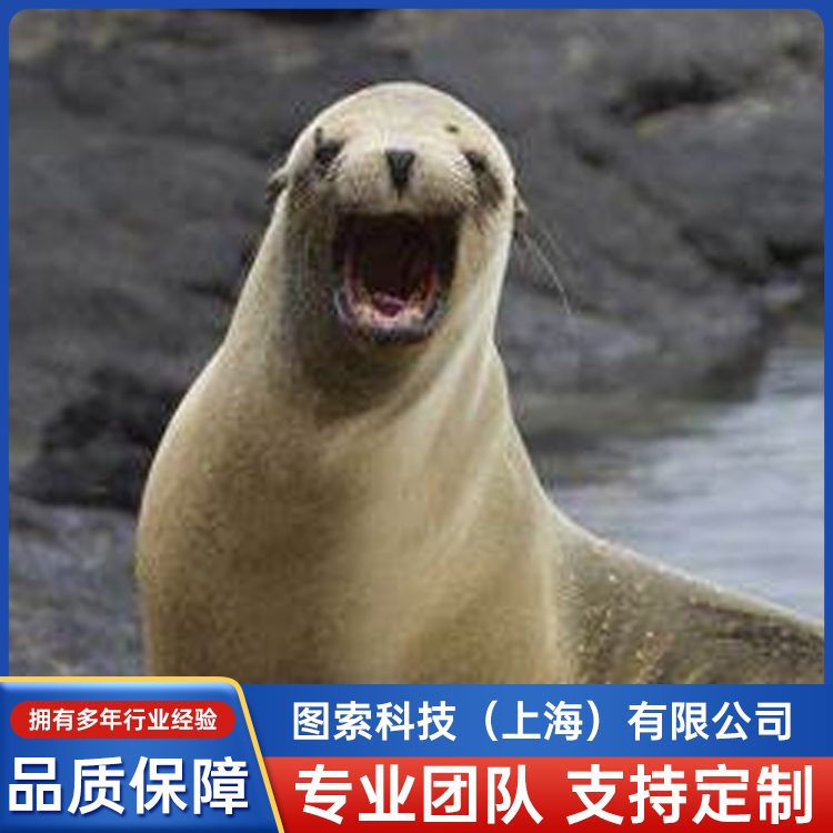 SPOT-325Alǰl˺жNΠߴ̾xݔƞ{