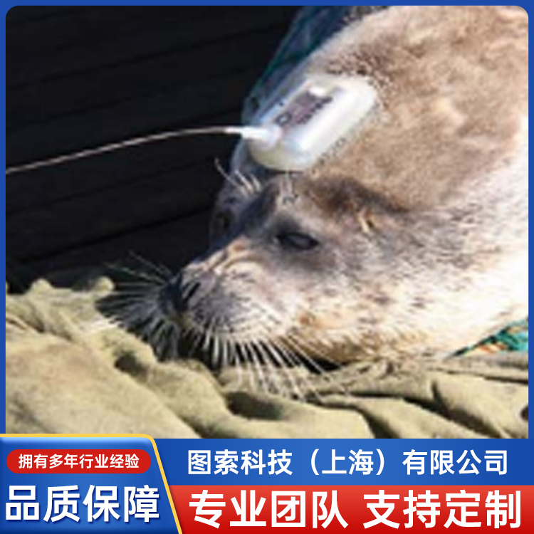 PRD-RPЧؓd֏OҪ׷ۙӛOyĈ