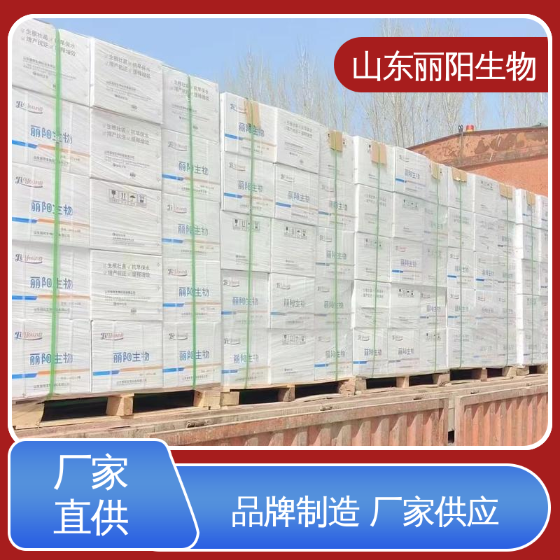 Mþ۹Ȱ10ϏSҌLIYANG