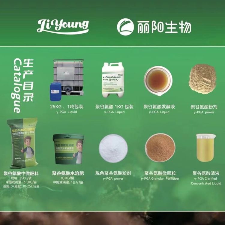 Sֱ۹ȰlҺ48۹Ȱۄ102530