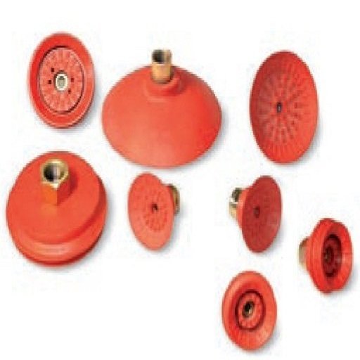 P(pn)zP(pn)ǘ(bio)zP(pn)܇(ch)I(lng)