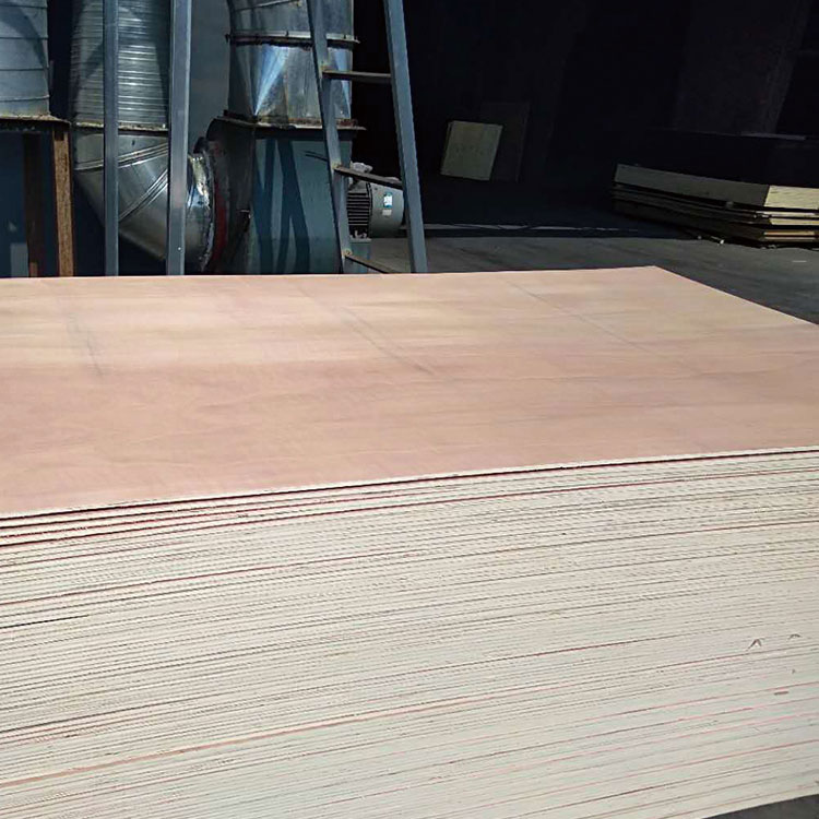 ӰSҎ(gu)RȫɶƮΰbбP