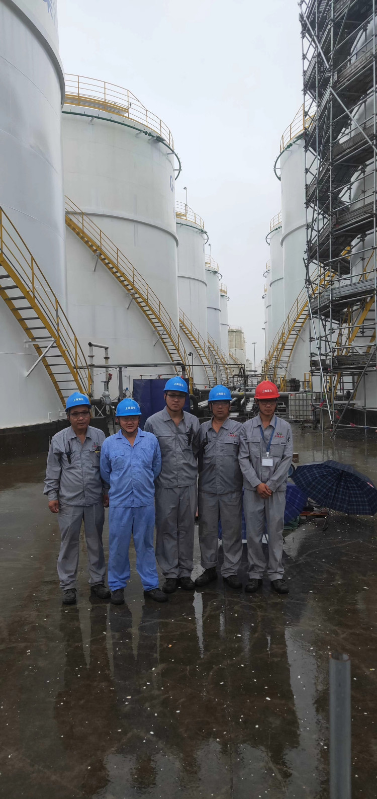 ϴܵÓ֬PIGϴϴgFꠌIɿ