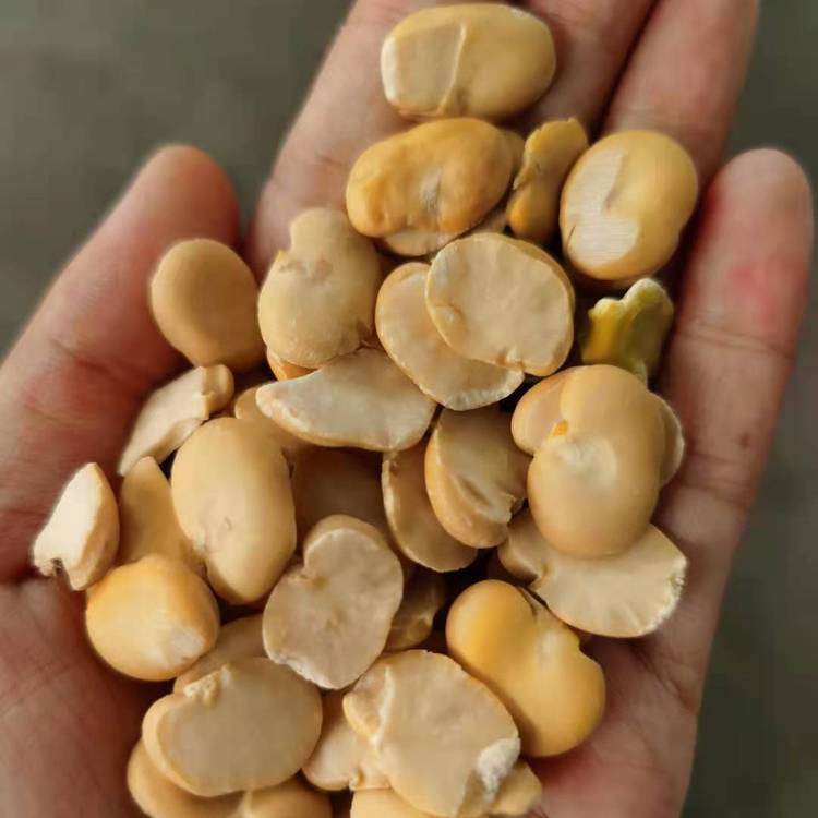 QÓƤC(j)ƤC(j)ӹɰQC(j)