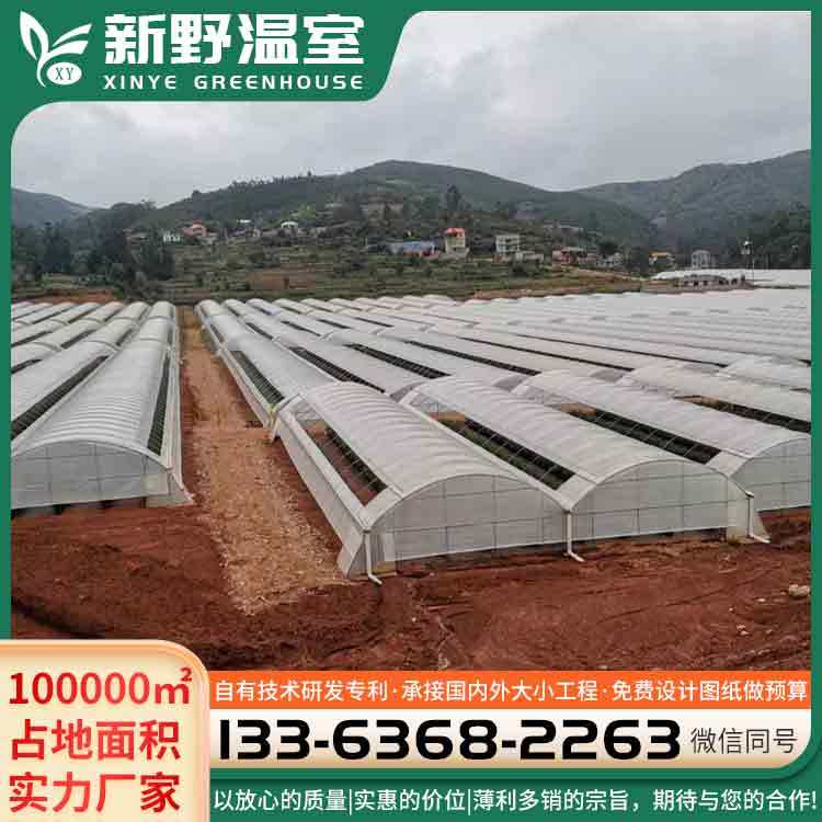 ҴwS{ݮIOӋ趨ʸ